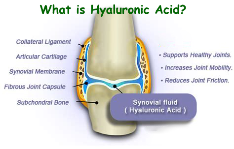 what is hyaluronic acid