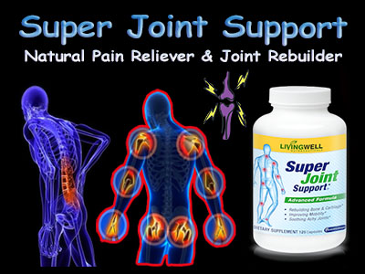 best arthritis supplement