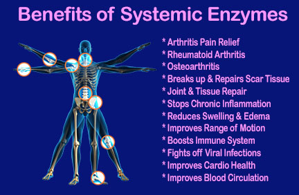 systemic enzymes for arthritis