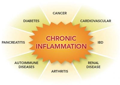 chronic inflammation and arthritis
