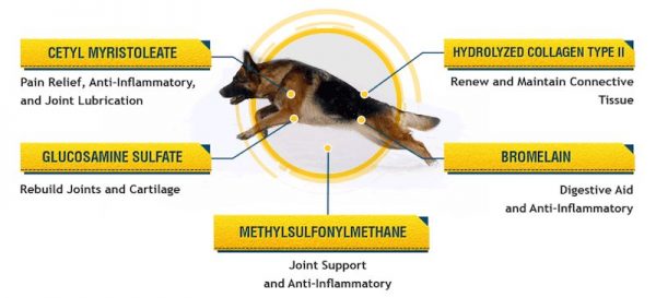 supplement for dog joints