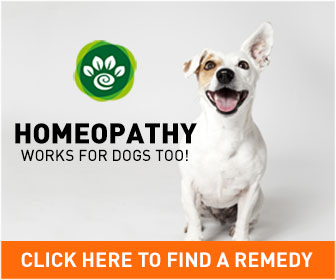 homeopathic remedies for pets